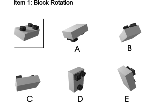 Item 1: Block Rotation