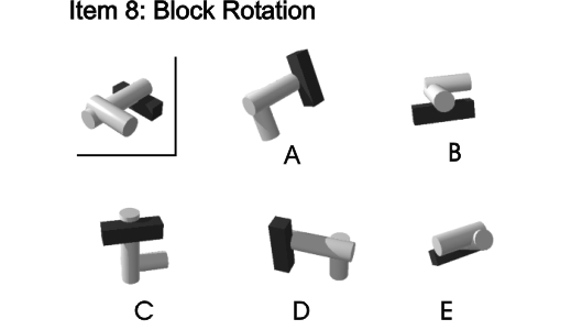Item 8: Block Rotation
