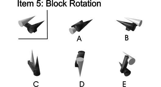 Item 5: Block Rotation