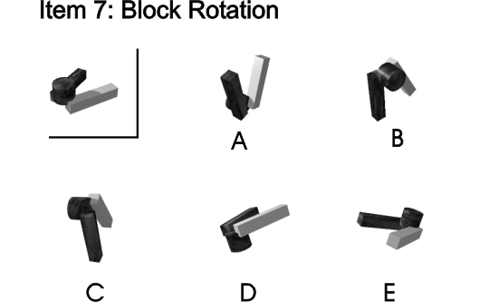 Item 7: Block Rotation