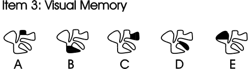 Item 3: Visual Memory